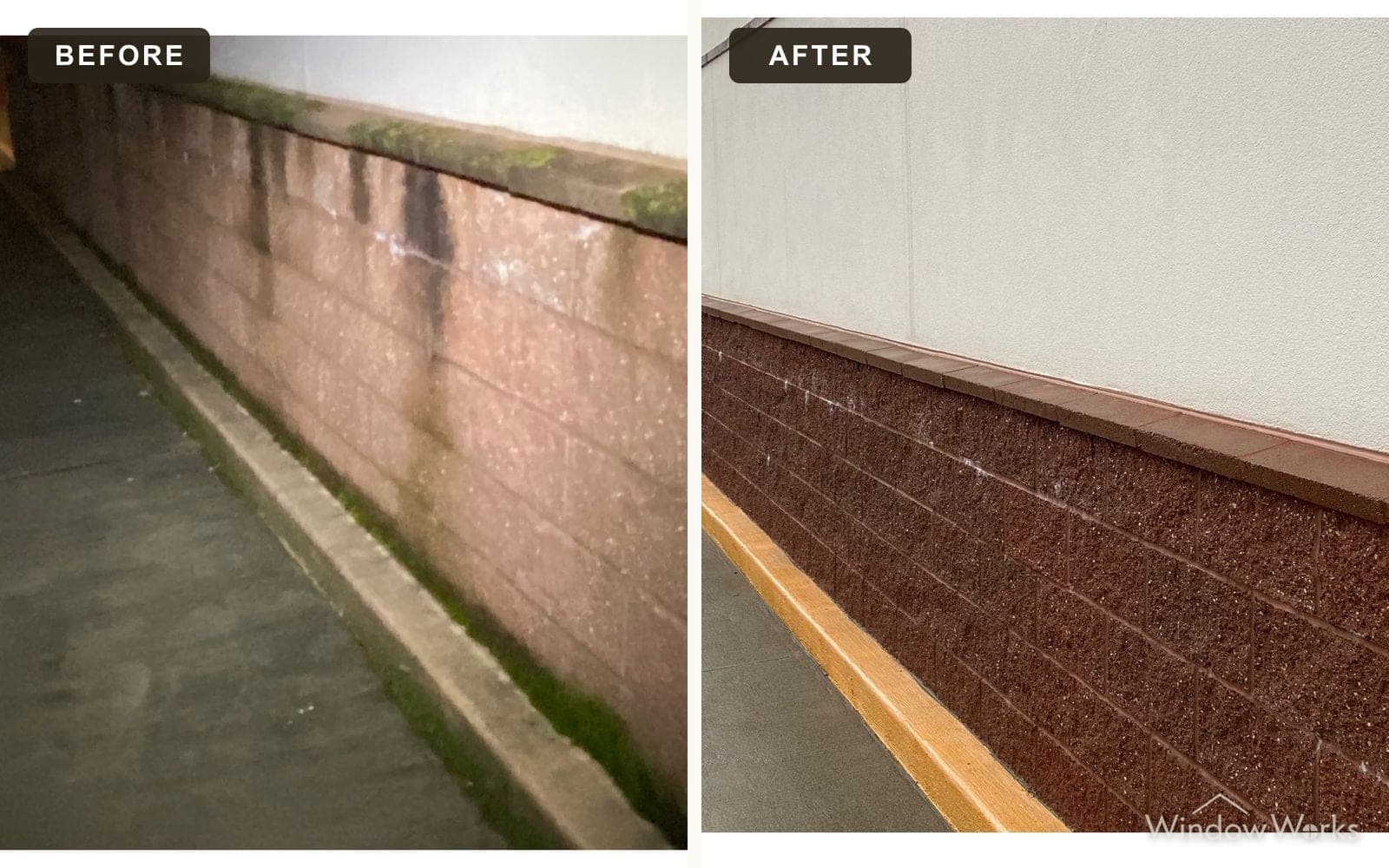 Before and after WindowWorks washing the algae-stained exterior masonry wall of a commercial building on the Eastside