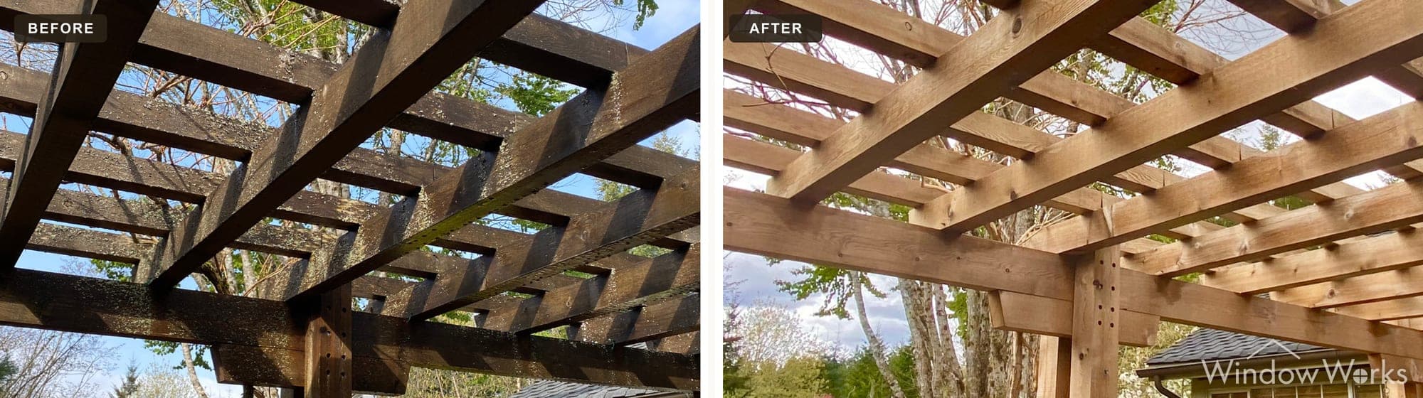 A WindowWorks technician cleans years of gray weathering and grime from the beams of a cedar pergola, restoring the warm natural wood color, Eastside Seattle.