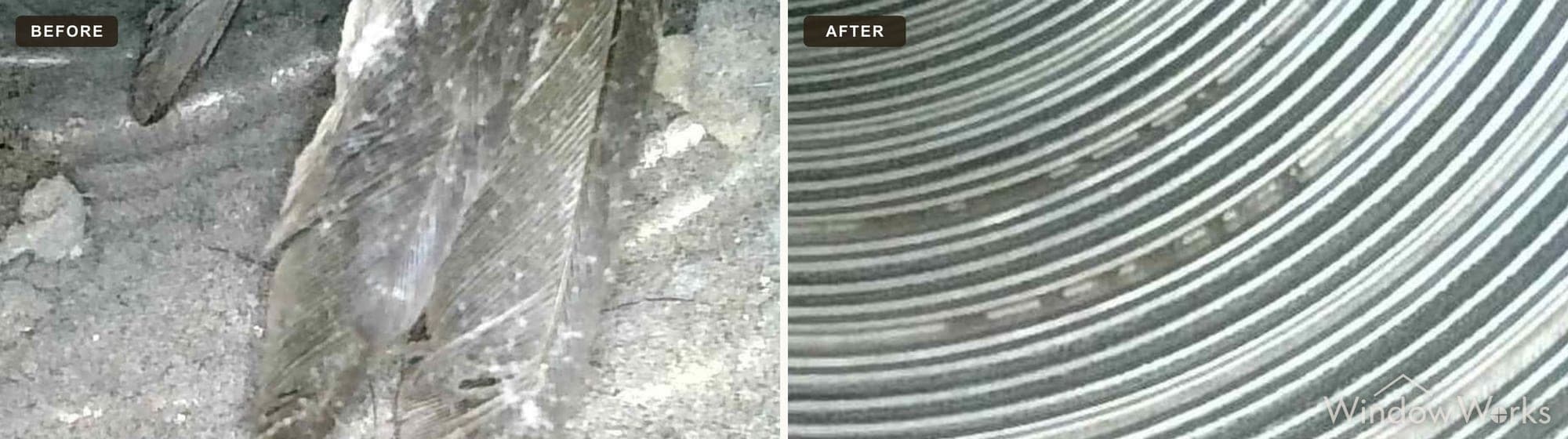 Before and after WindowWorks clearing a dryer vent that a bird had died inside, the duct cleaned back to bare galvanized metal on the Eastside