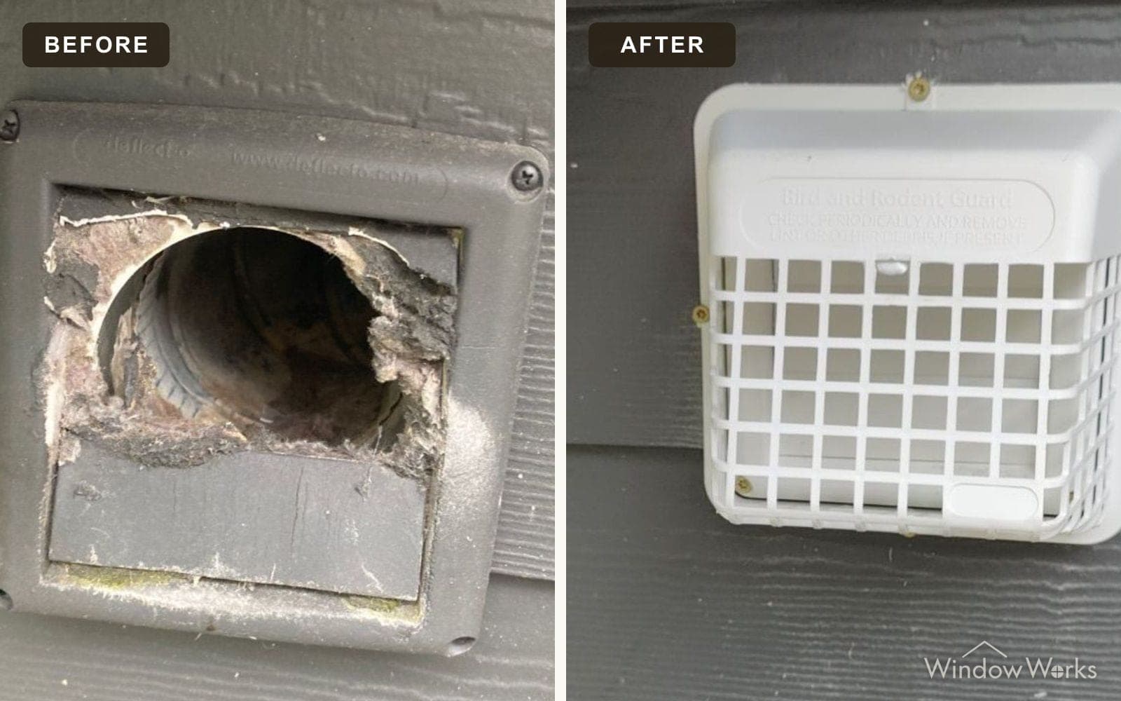 Before and after WindowWorks replacing a broken dryer vent hood with a white bird and rodent guard on an Eastside home