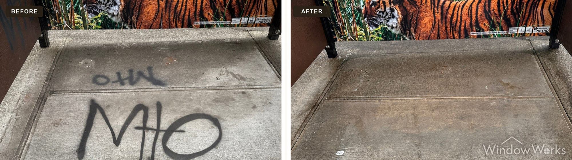 Before and after WindowWorks removing black spray paint tags from the concrete pad of a transit shelter, the commissioned tiger art panel behind it untouched
