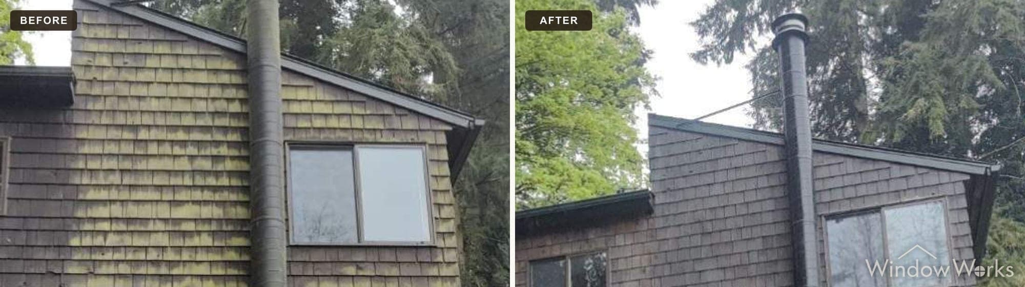 Before and after WindowWorks soft washing heavy yellow-green algae off the cedar shake walls of a hillside home under tall firs on the Eastside