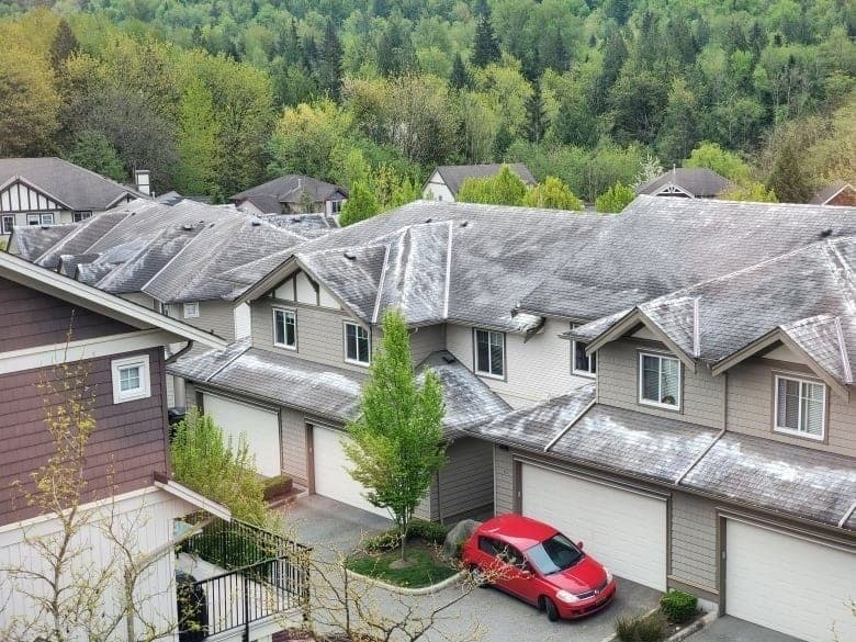 An elevated view of a townhome complex where the roofs have been coated with detergent to kill moss