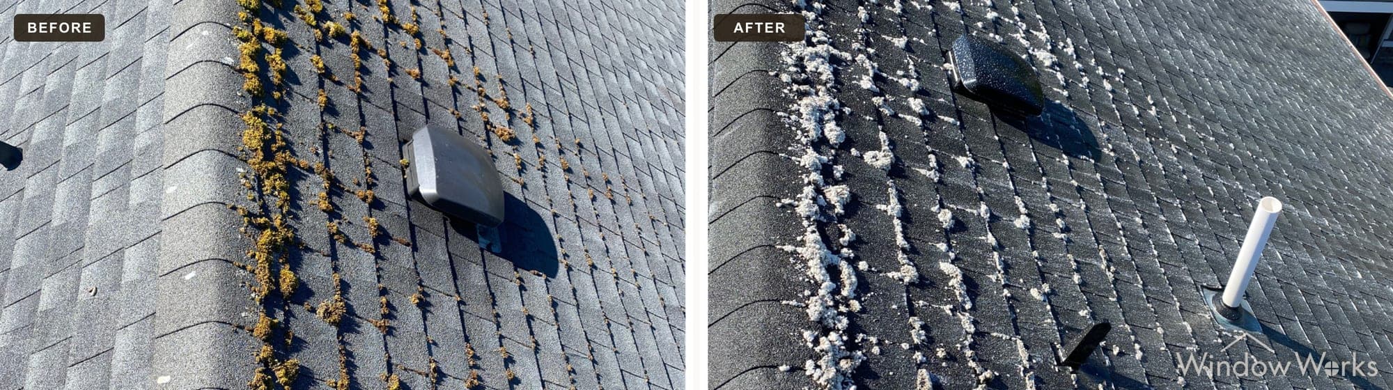 Heavy yellow moss removed from an asphalt shingle roof valley by soft washing, Eastside Seattle.