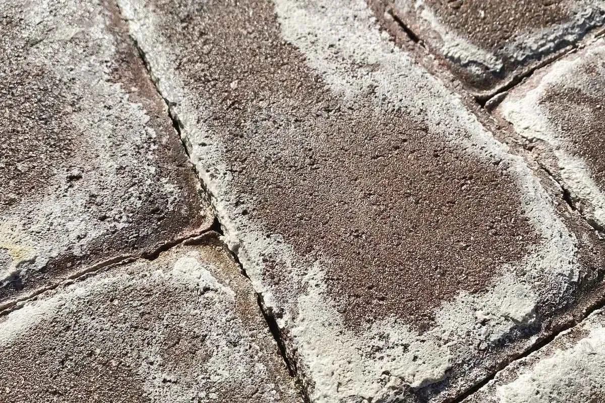 White efflorescence bloom crusted across the faces and joints of brick pavers