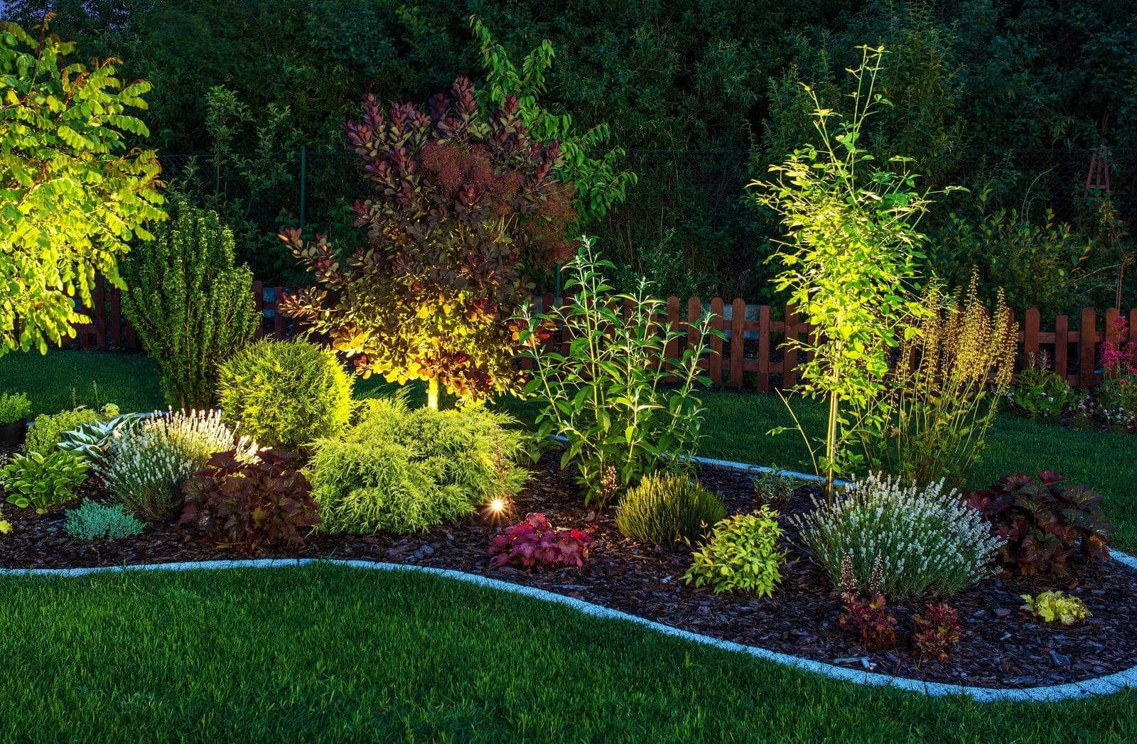 A planted garden bed at night lit from below, warm light picking out a smoke bush, low conifers and grasses against a dark fence and lawn.