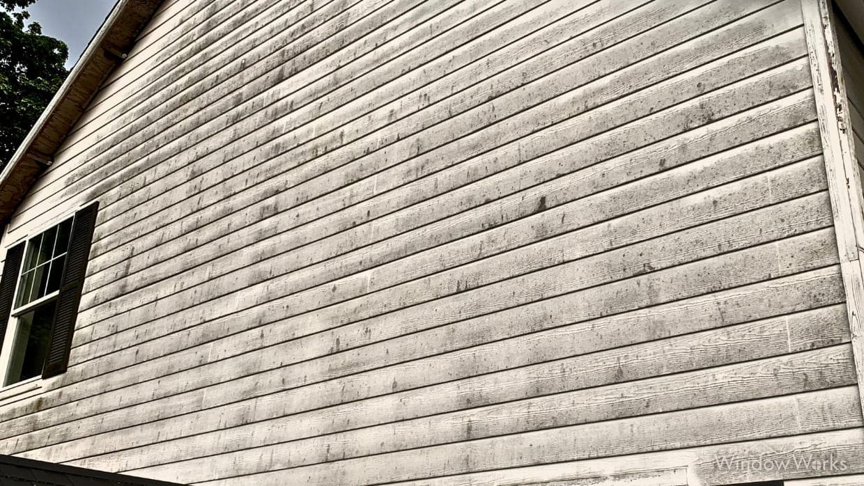 Grey-green mold and algae growth spread across a full wall of white lap siding