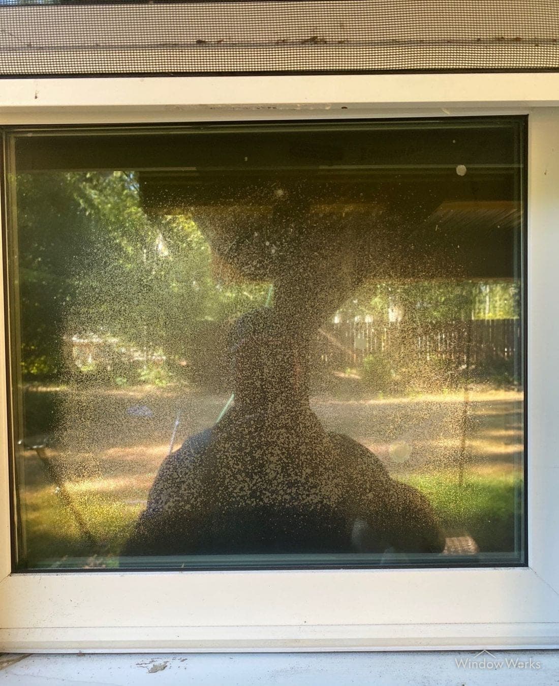 A failed insulated glass unit, with dense mineral speckling visible between the two panes.