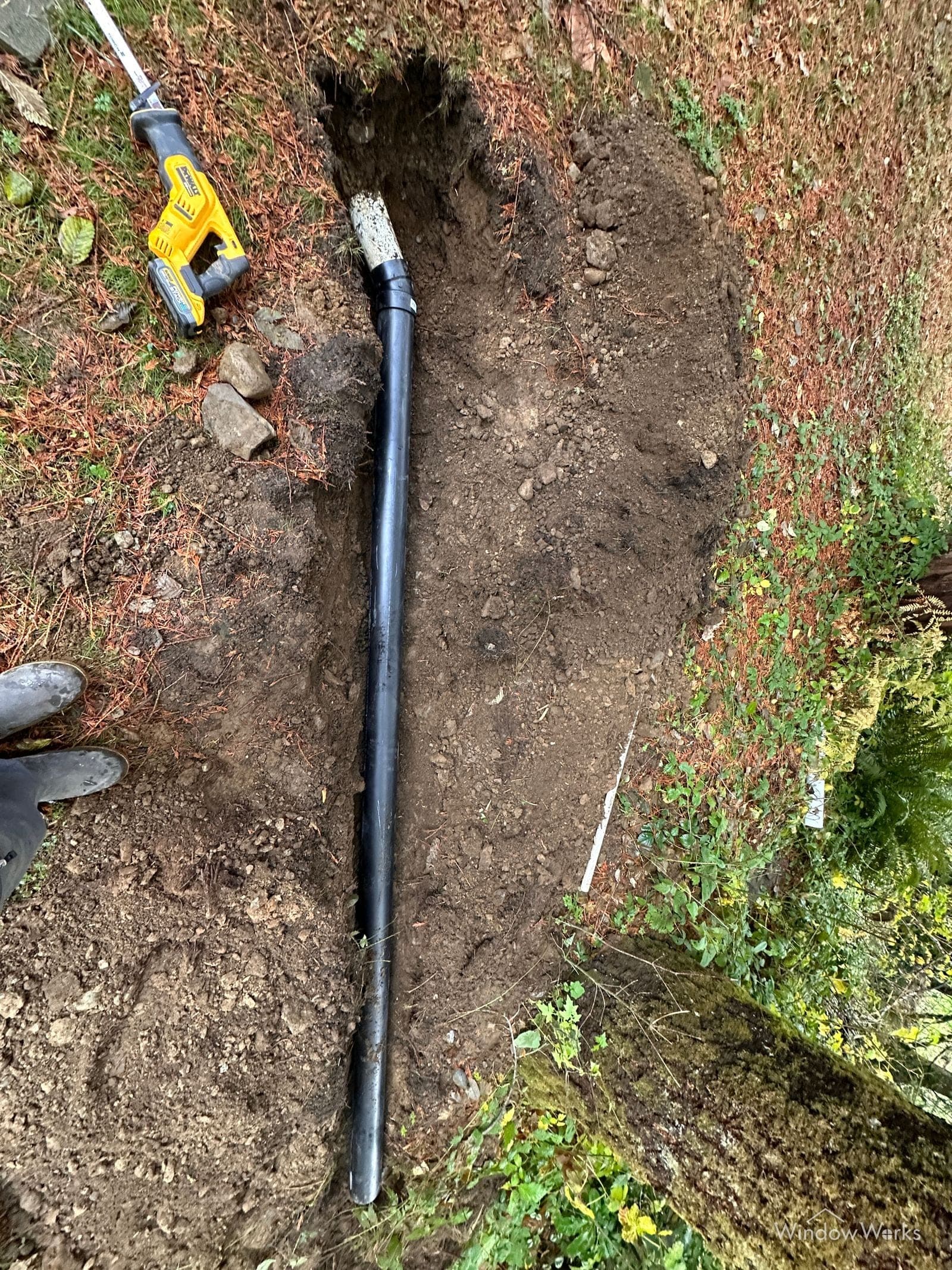 A new length of black drain pipe laid in an open trench under the firs, replacing the failed section