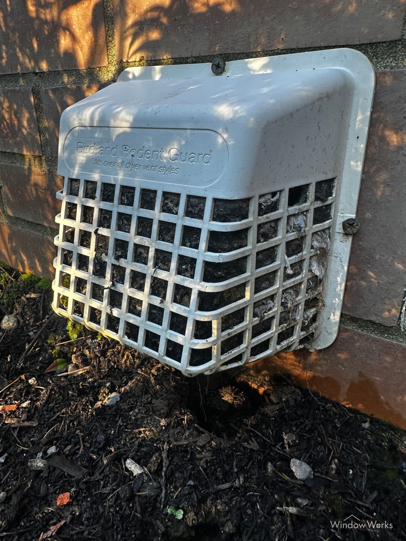 An exterior dryer vent bird and rodent guard clogged with lint on an Eastside Seattle home