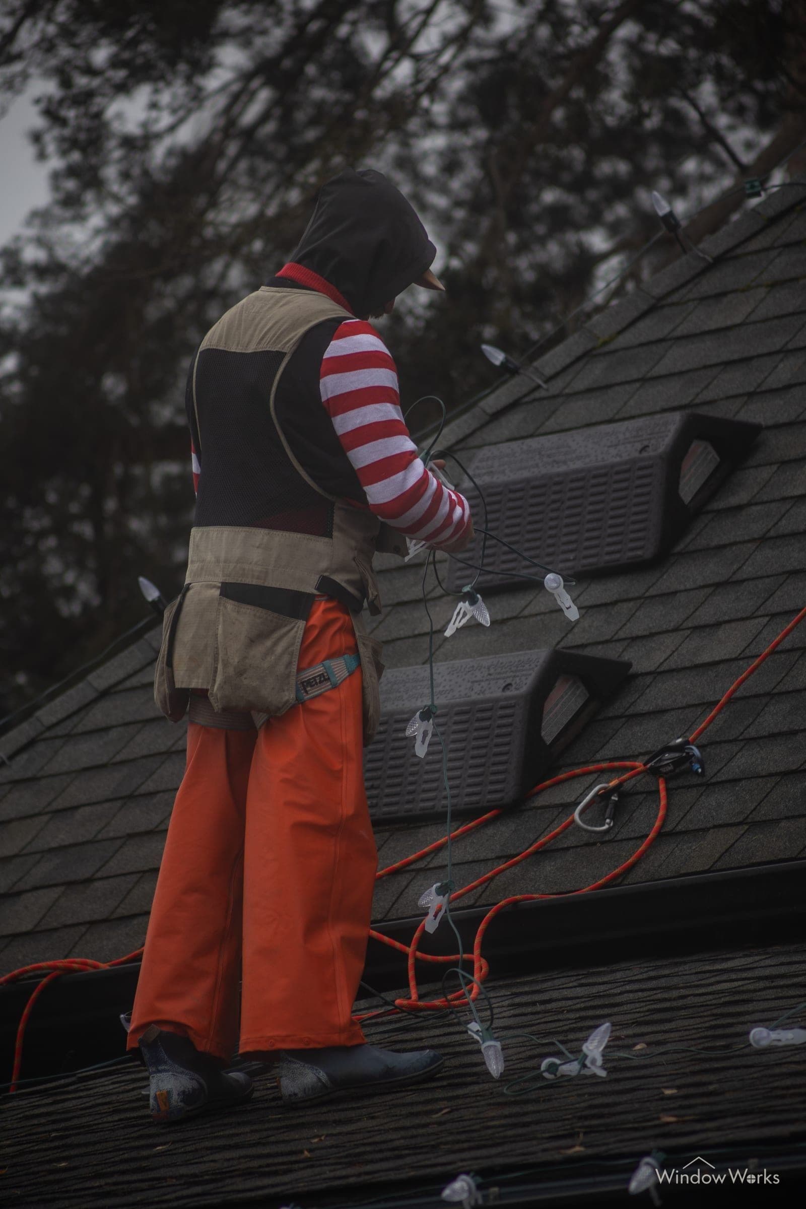 A harnessed WindowWorks technician clipping a strand of C9 holiday bulbs along a roof ridge during a daytime install at an Eastside Seattle home