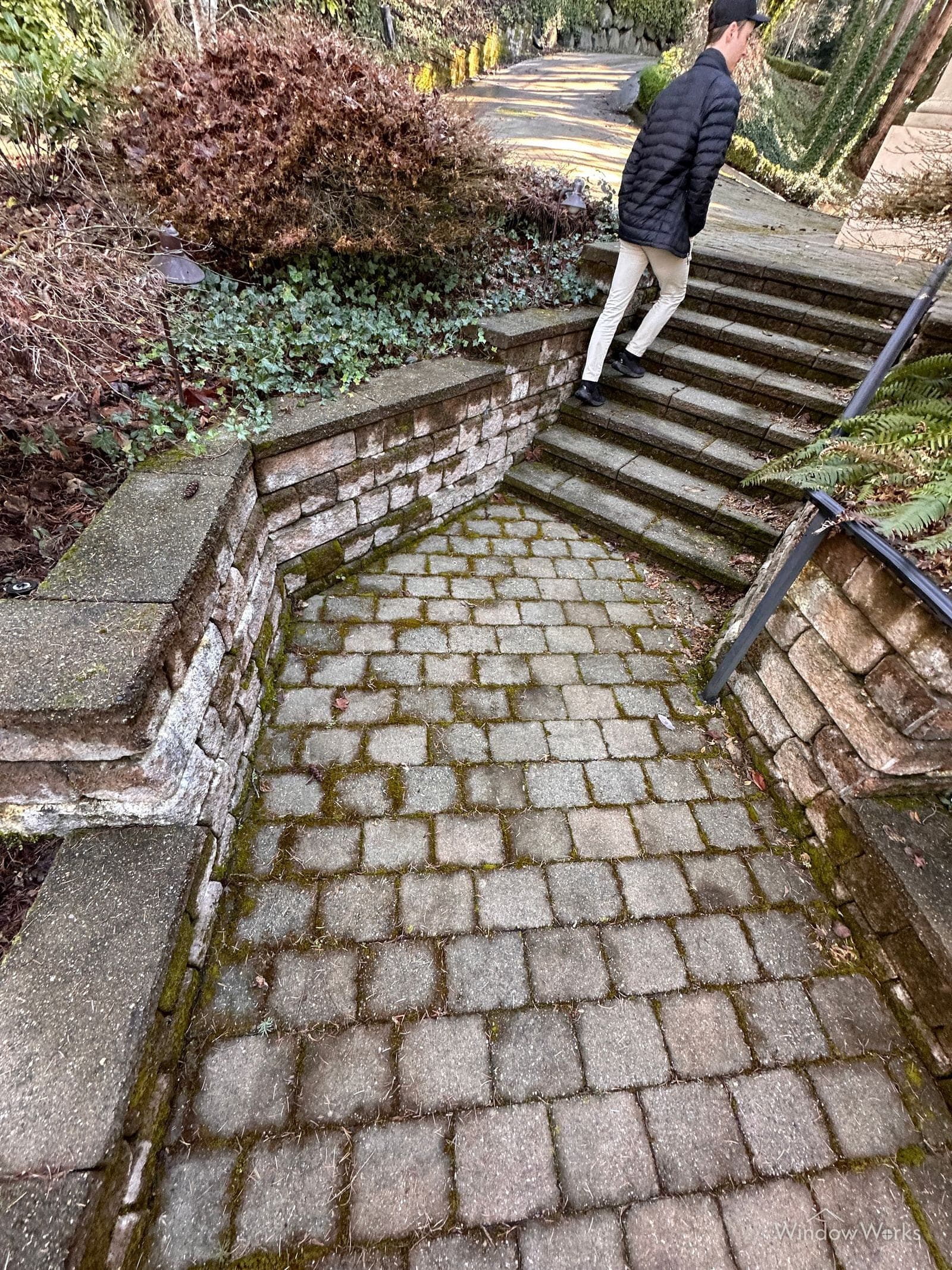 Moss and grass filling the joints of a paver landing, the jointing sand already displaced by the growth