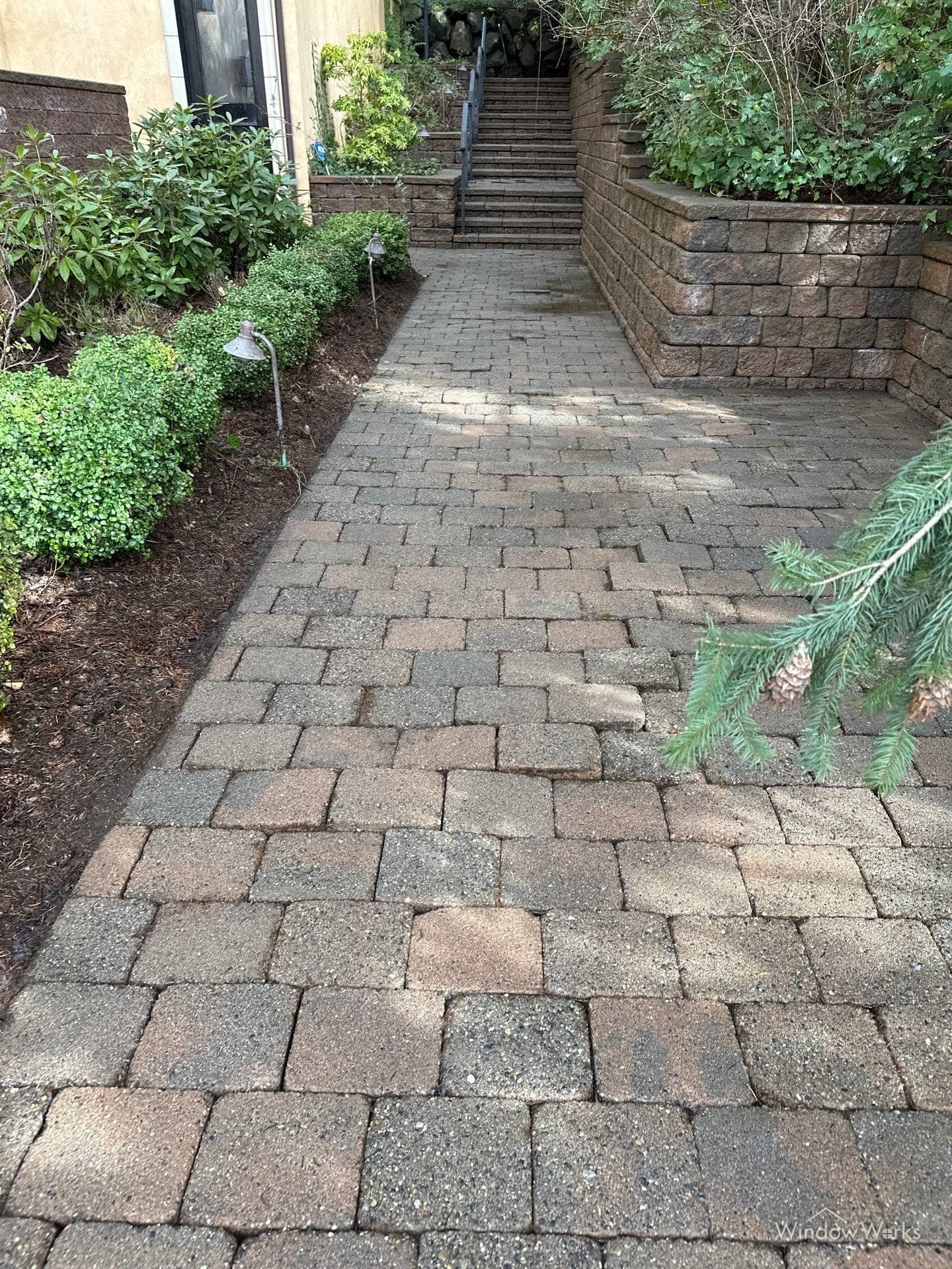 A paver walkway after a WindowWorks wash, the jointing sand intact and the surface clean between trimmed hedges