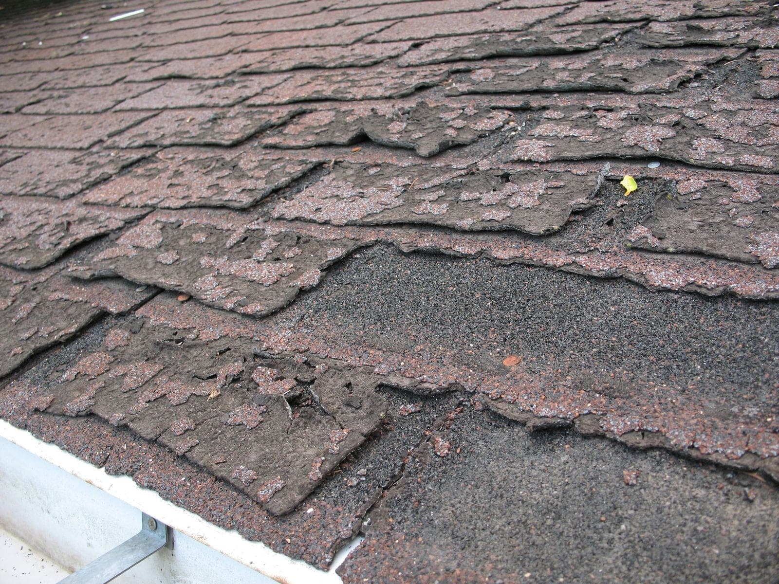 Worn asphalt shingles at a roof edge that have lost most of their granules, with the shingle tabs shrinking and tearing