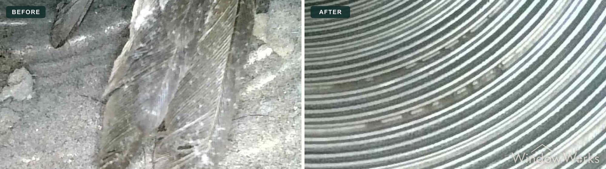 Before and after WindowWorks clearing a dryer vent that a bird had died inside, the duct cleaned back to bare galvanized metal, Eastside Seattle.