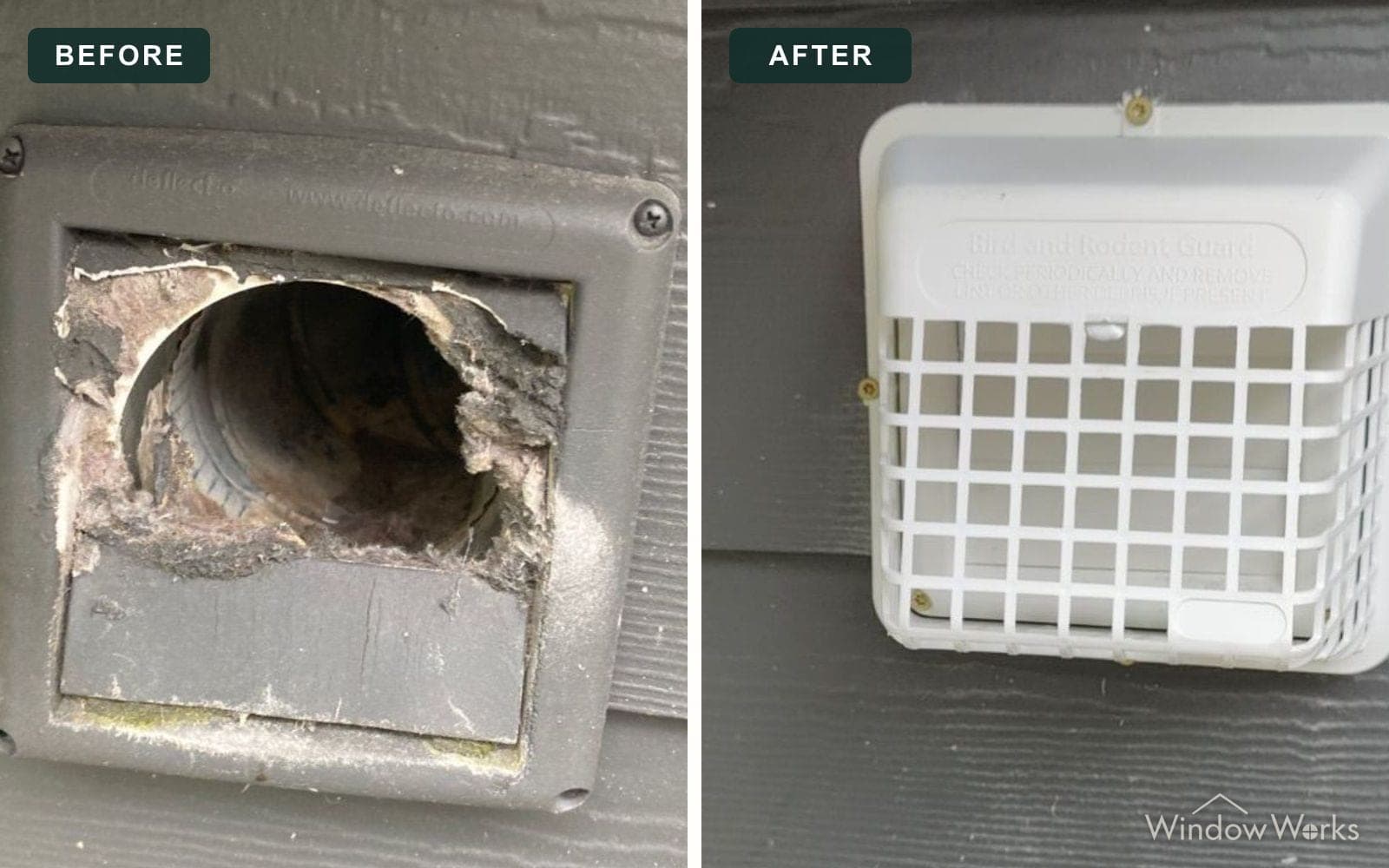 Before and after WindowWorks replacing a broken dryer vent hood with a white bird and rodent guard on an Eastside home