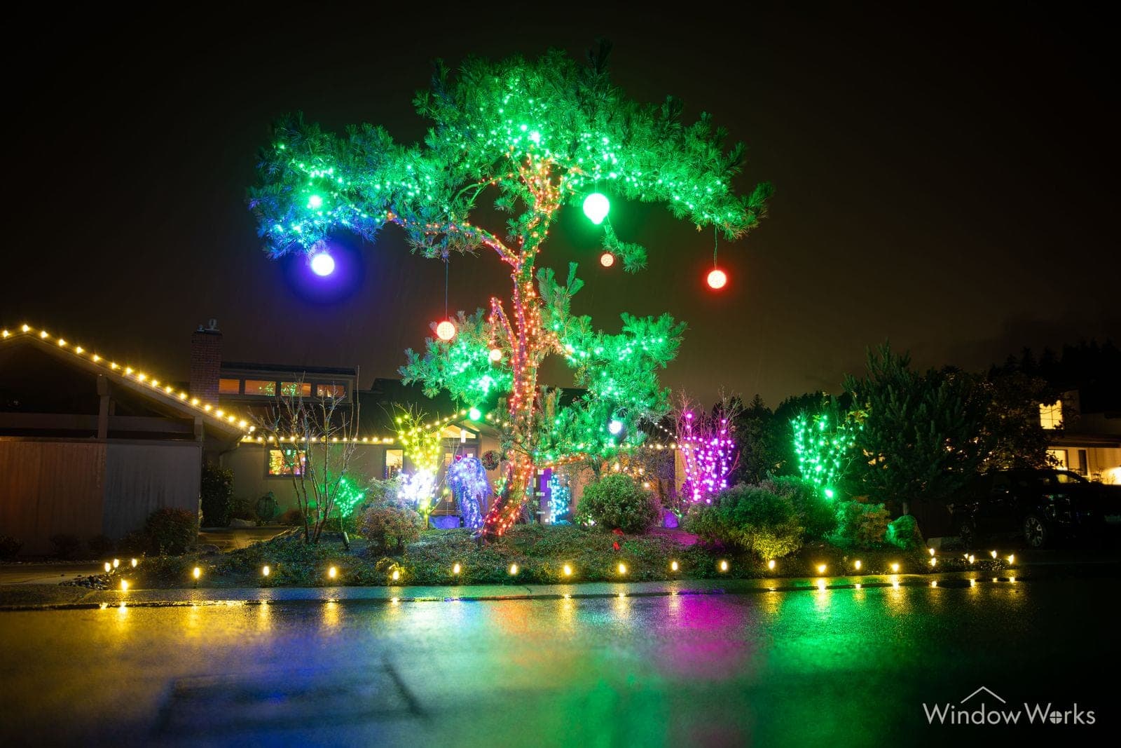 A mature tree lit green with oversized colored baubles hung through it and the beds lit along the drive.