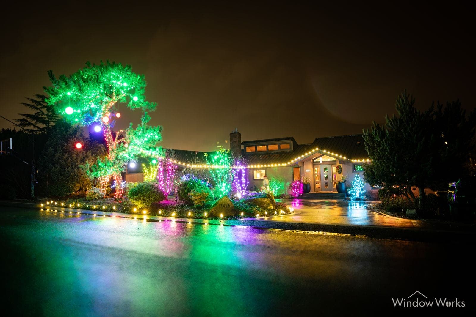 A property at night with a green-lit tree, magenta shrubs and a run of color bulbs edging the whole drive.