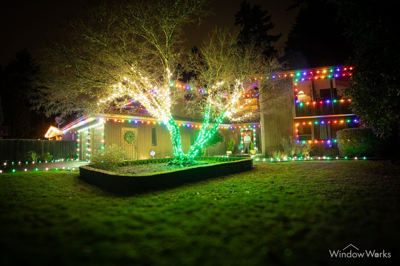 A bare tree lit warm white on a green lawn beside a home running multicolor bulbs along the roofline.