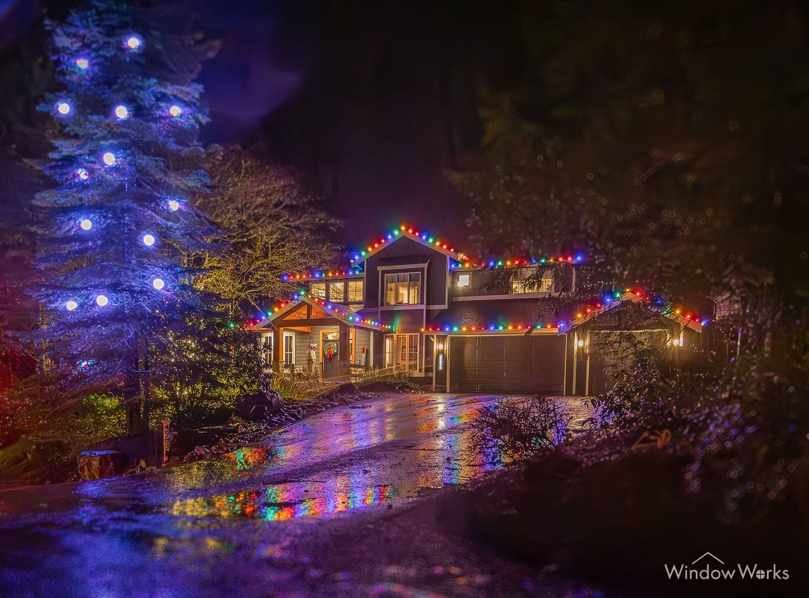 A tall fir lit blue beside a home run in multicolor bulbs, color pooling on the wet drive.