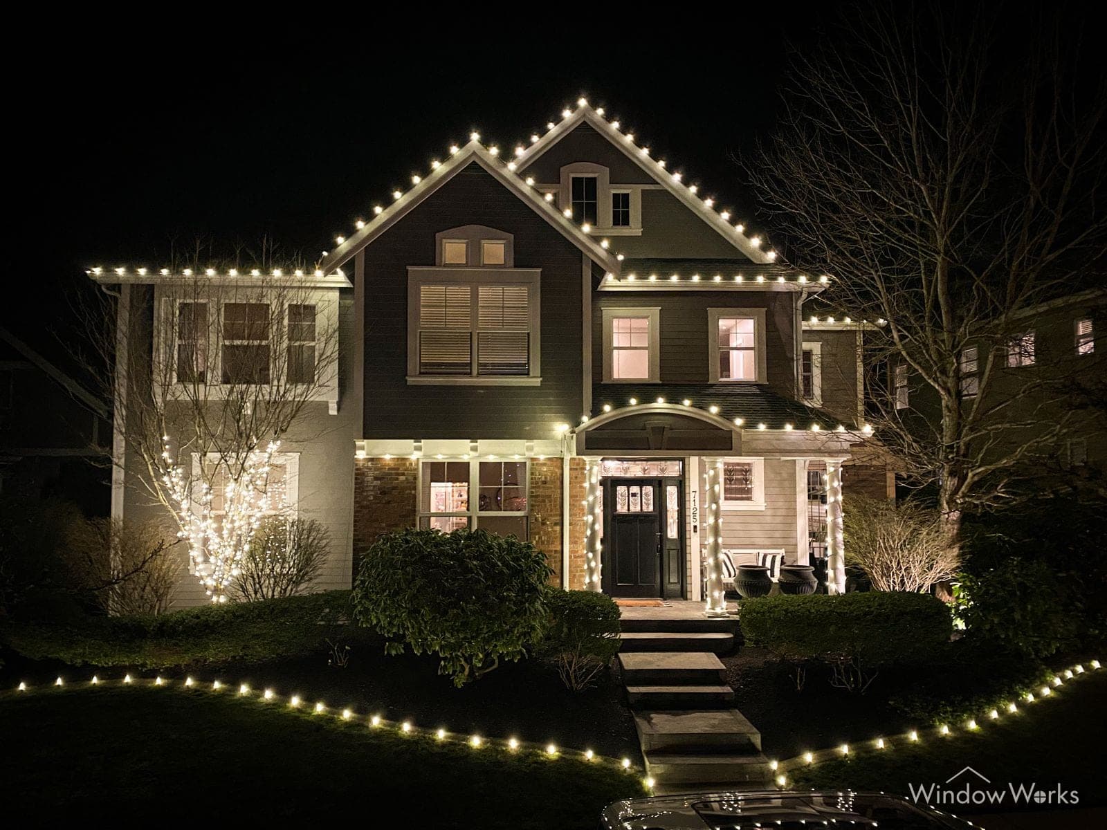 A grey craftsman in warm white bulbs with white-lit shrubs and a wrapped tree by the steps.