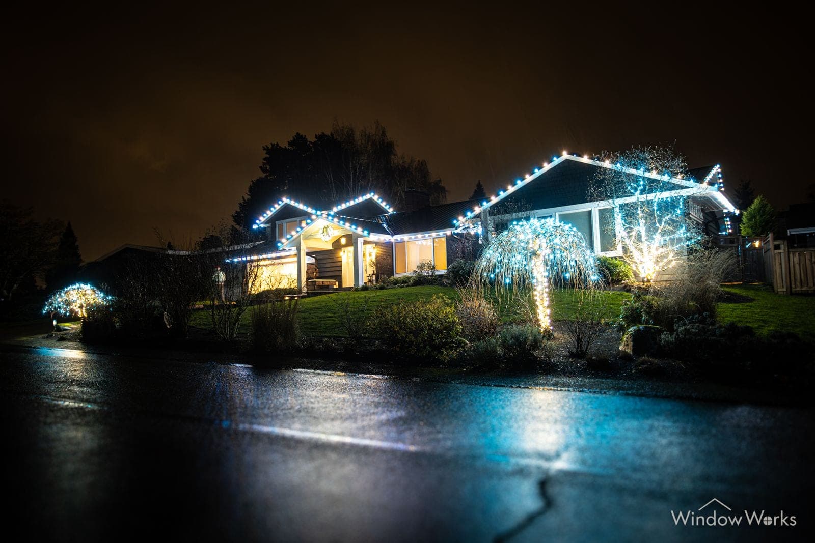 A home in cool white bulbs with a blue-lit tree, reflected across dark water.