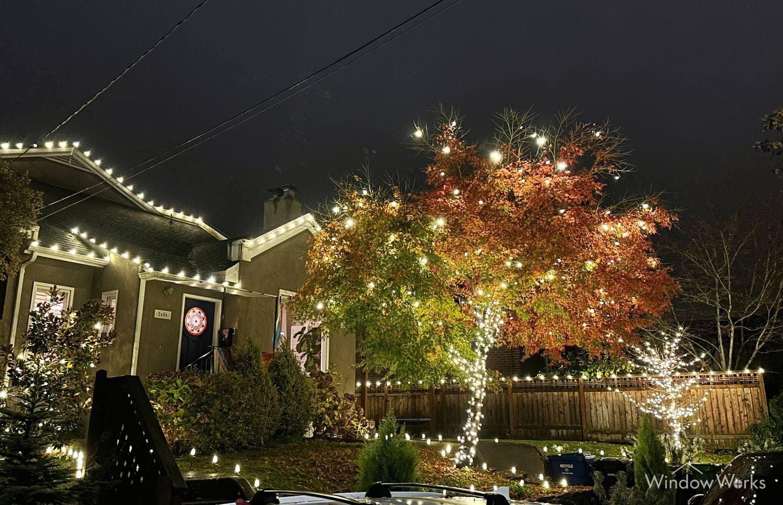 A home edged in warm white bulbs beside a broad maple wrapped through its canopy, the fence line lit and autumn leaves still on the branches.