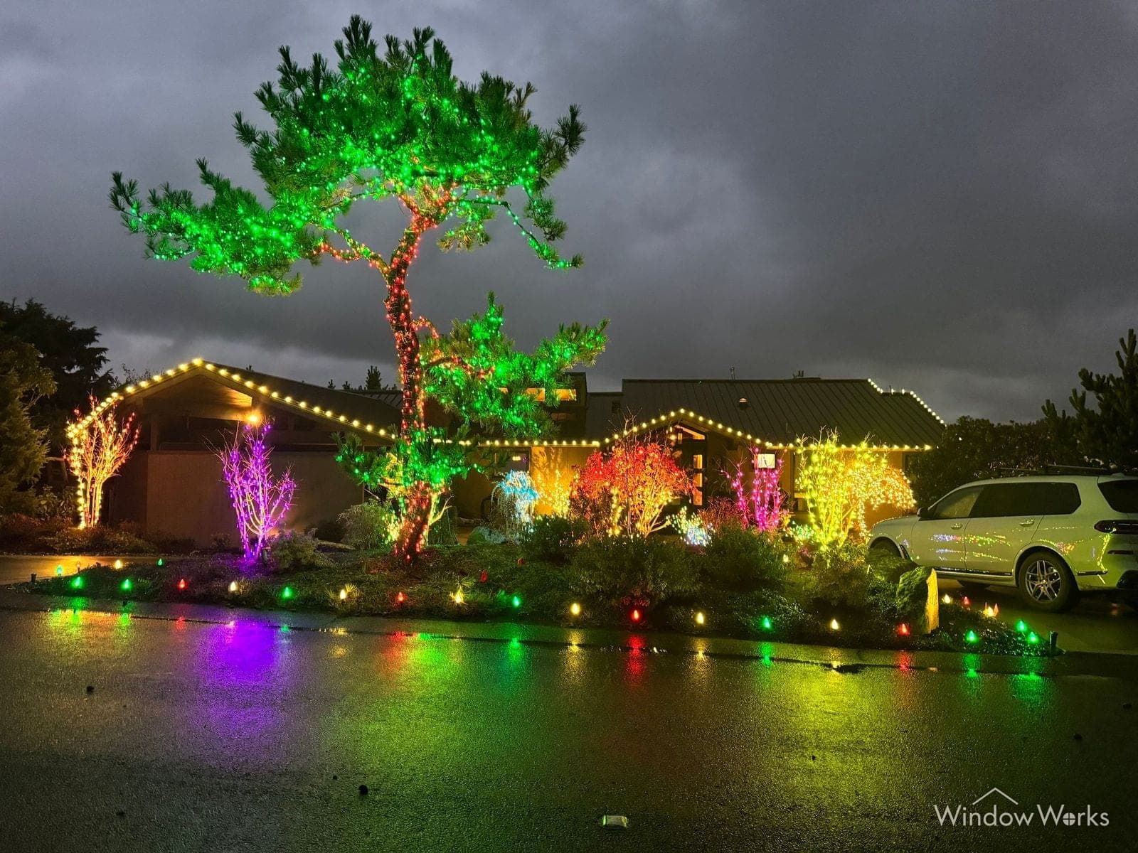 A shaped pine lit green beside a home in warm white, with magenta, orange and green lit shrubs across the whole front yard.