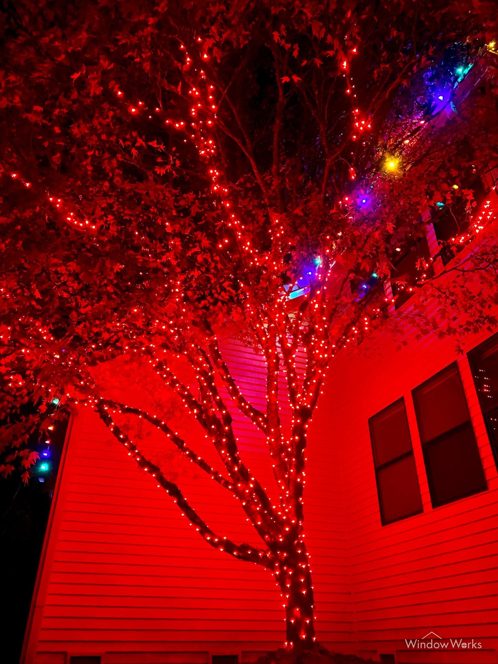 A tree wrapped entirely in red bulbs against a house wall, its branches reaching across the lit siding.