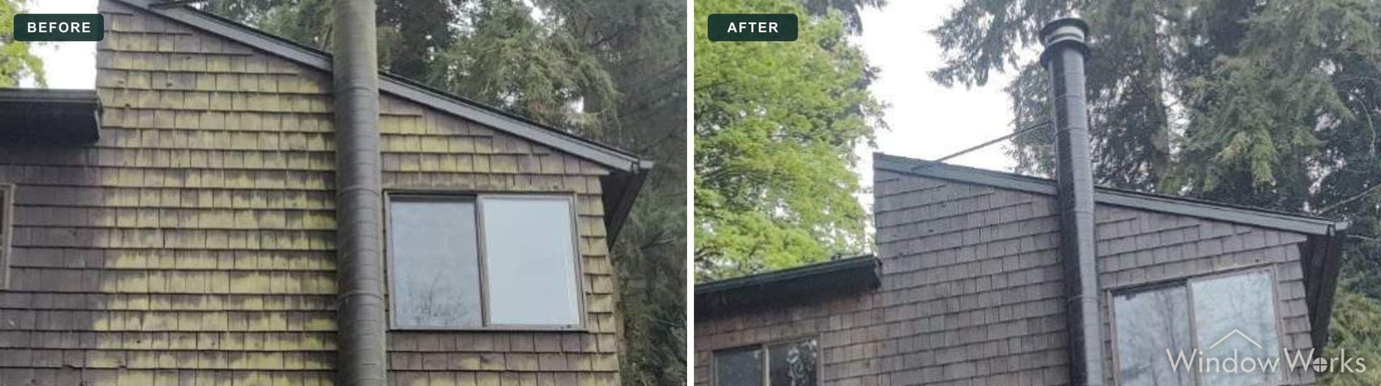 Before and after WindowWorks soft washing heavy yellow-green algae off the cedar shake walls of a hillside home under tall firs on the Eastside