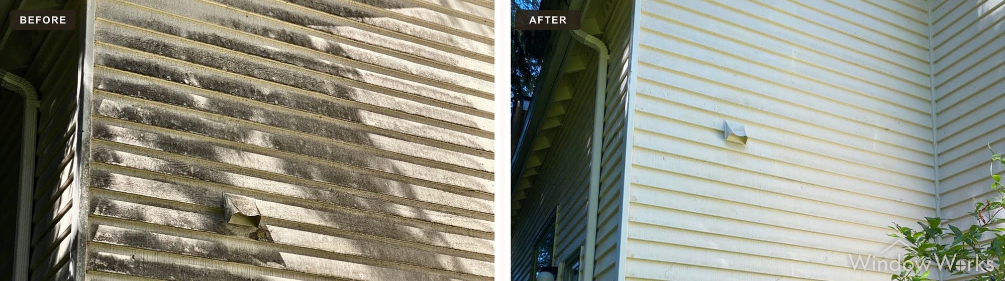 Before and after WindowWorks soft washing heavy dark algae streaks off a home's lap siding, Eastside Seattle.
