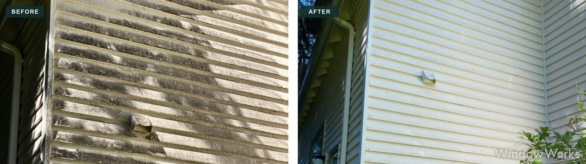 Before and after WindowWorks soft washing heavy dark algae streaks off a home's lap siding, Eastside Seattle.