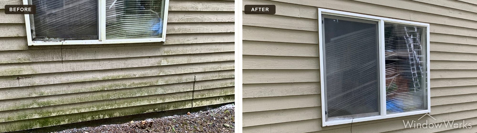 Before and after WindowWorks soft washing green algae streaks off a home's siding and window trim, Eastside Seattle.
