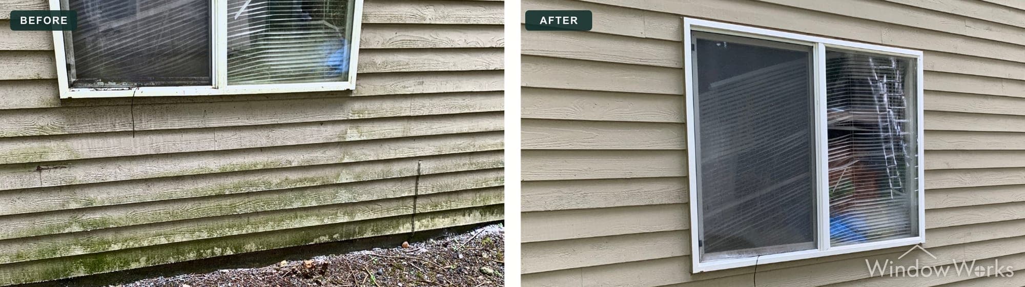 Before and after WindowWorks soft washing green algae streaks off a home's siding and window trim, Eastside Seattle.