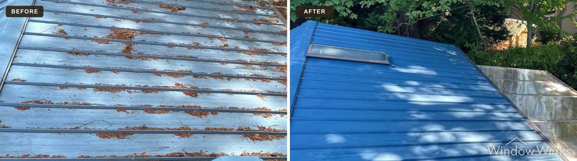 Before and after WindowWorks soft washing a blue standing-seam metal roof buried in cedar needle debris back to clean, saturated blue on the Eastside