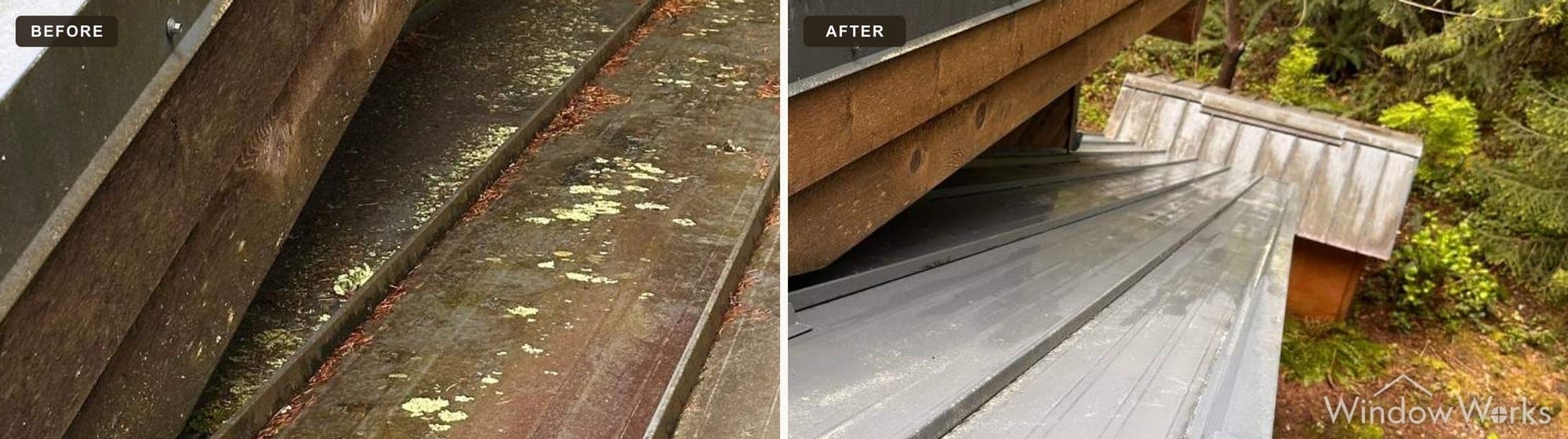 Before and after WindowWorks treating lichen colonies and organic staining on a low-slope metal roof pan on the Eastside