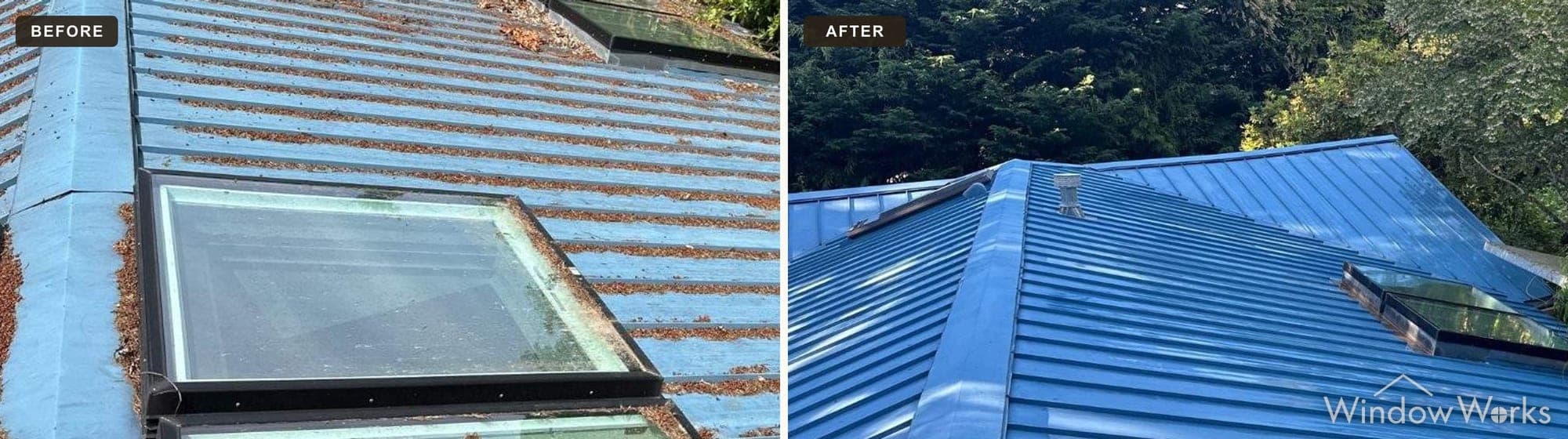 Before and after WindowWorks washing needle debris and mildew off a blue standing-seam metal roof around its skylights on the Eastside