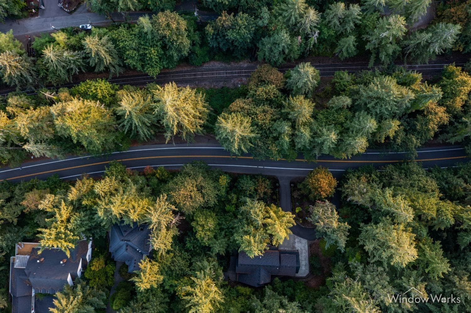 Aerial view of a wooded Pacific Northwest neighborhood with homes tucked among evergreens