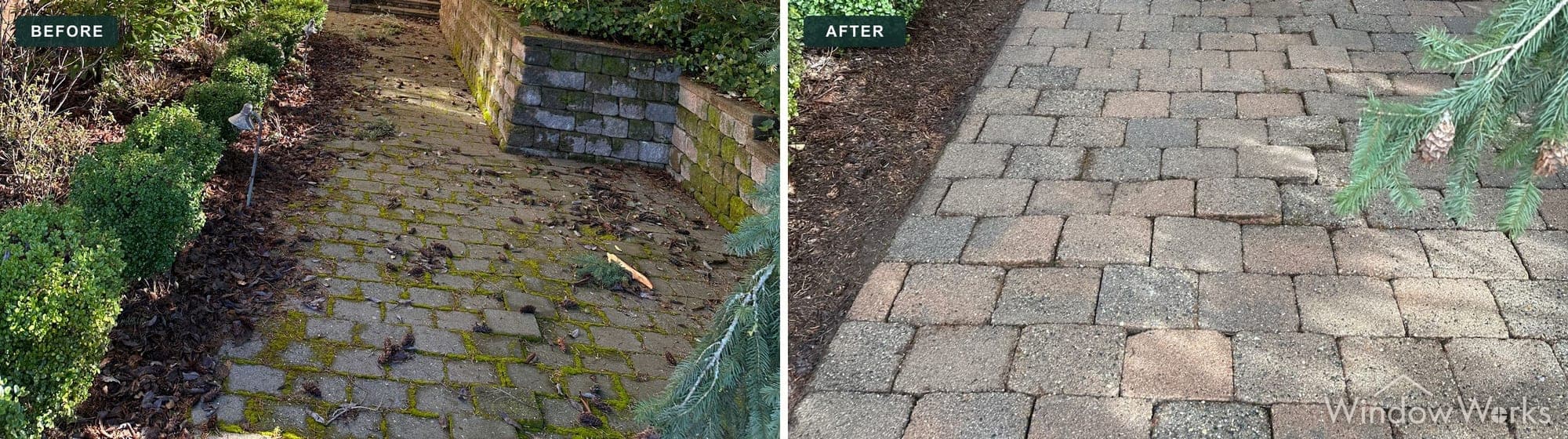 Before and after WindowWorks clearing moss and debris from the joints of a paver walkway, Eastside Seattle.