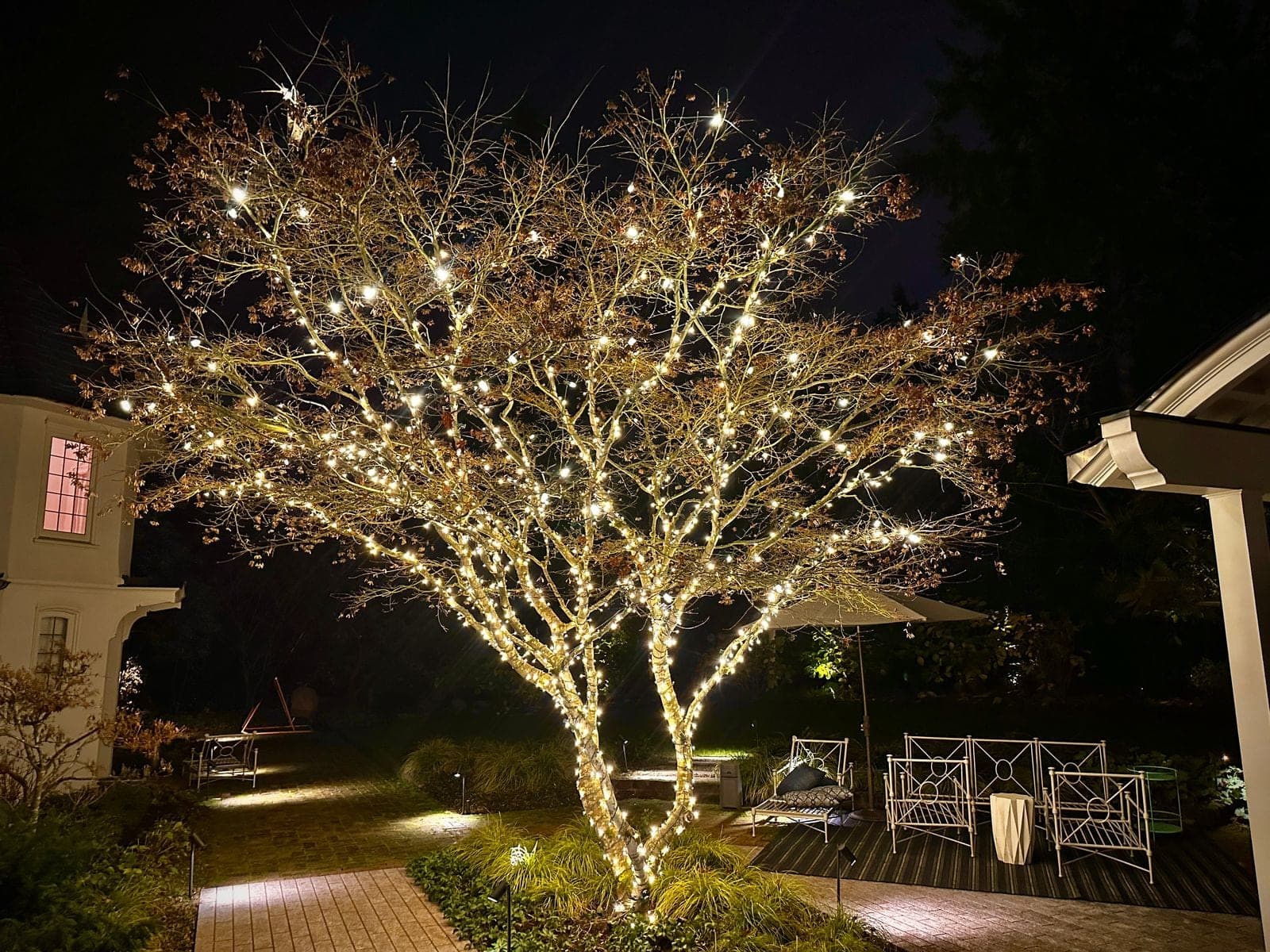 A mature tree wrapped trunk and canopy in warm white mini lights over a lit patio at night.