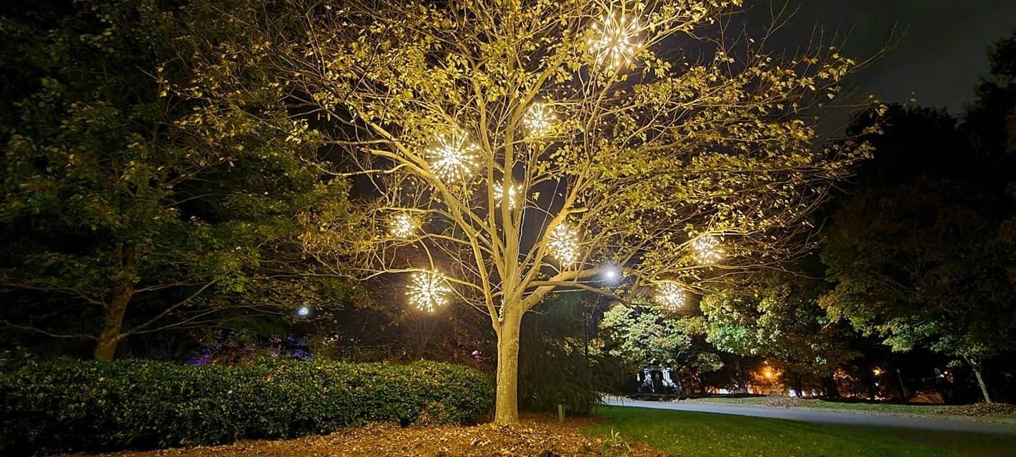 A park tree in warm white minis with a lit spritzer hanging beneath the canopy.