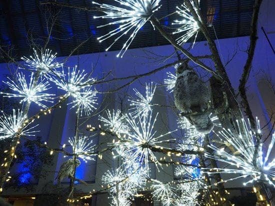 White spritzer starbursts hung through a snow-dusted tree at night.