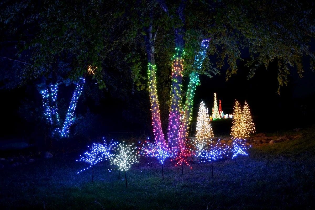 A garden full of lit twig branches at night, clusters of color staked through the beds with lit trees behind.