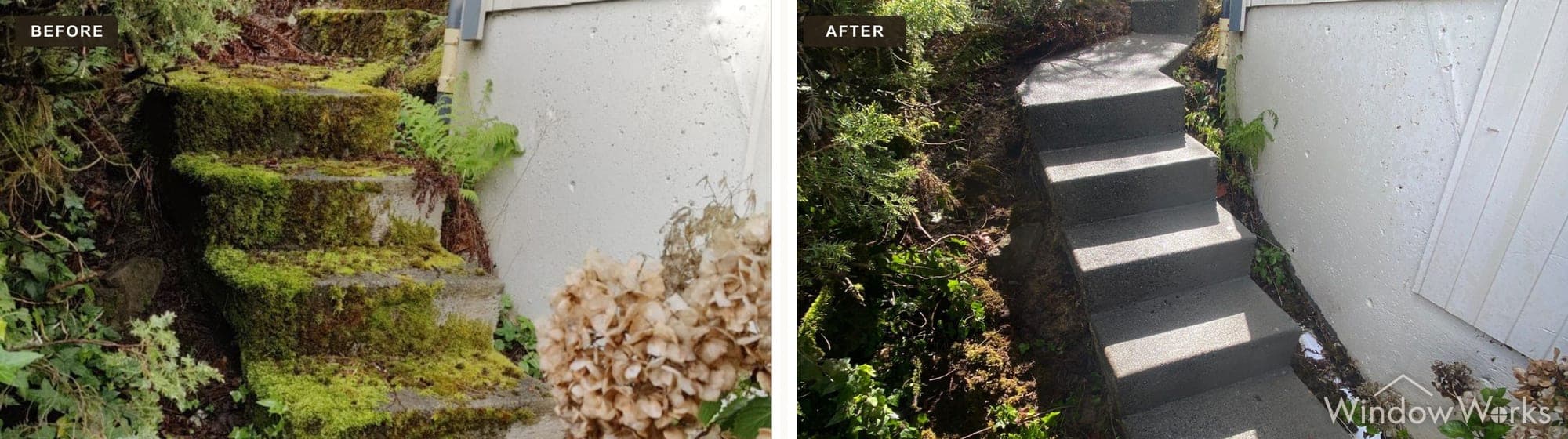 Before and after WindowWorks soft washing moss off concrete garden steps, Eastside Seattle.