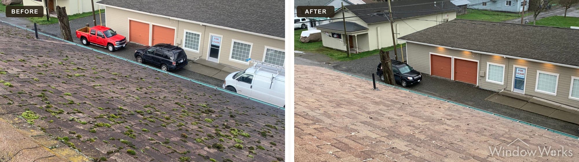 Before and after WindowWorks soft washing a moss-covered asphalt shingle roof on the Eastside