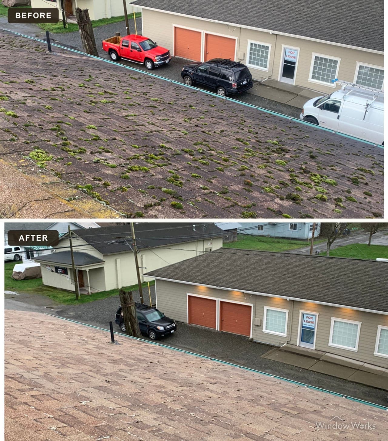 Before and after WindowWorks soft washing a moss-covered asphalt shingle roof on the Eastside