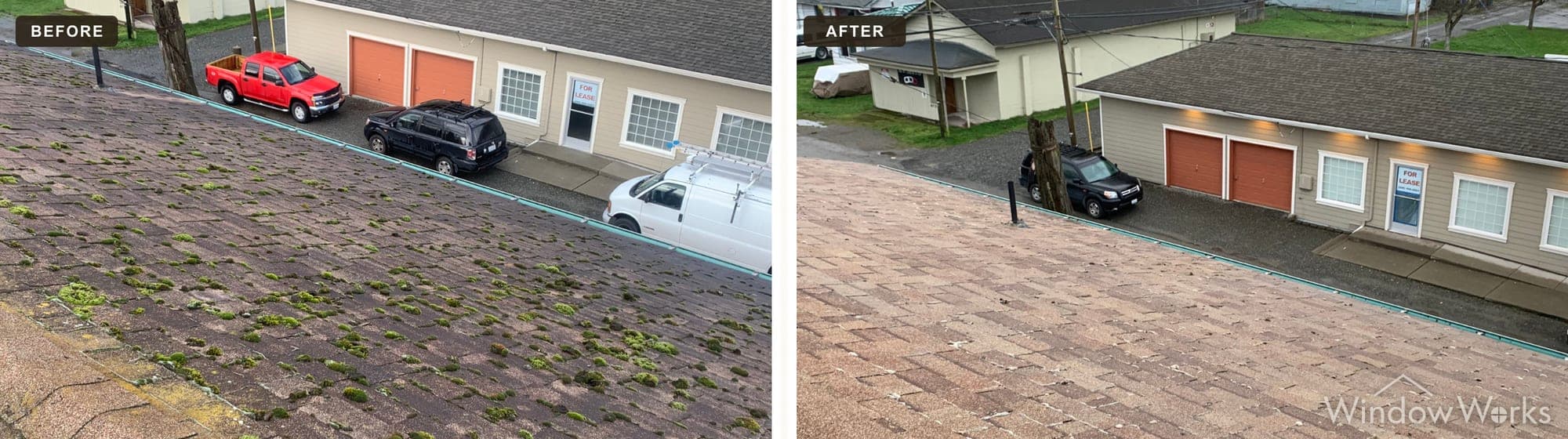 A moss-covered asphalt shingle roof cleaned with low-pressure soft washing, Eastside Seattle.