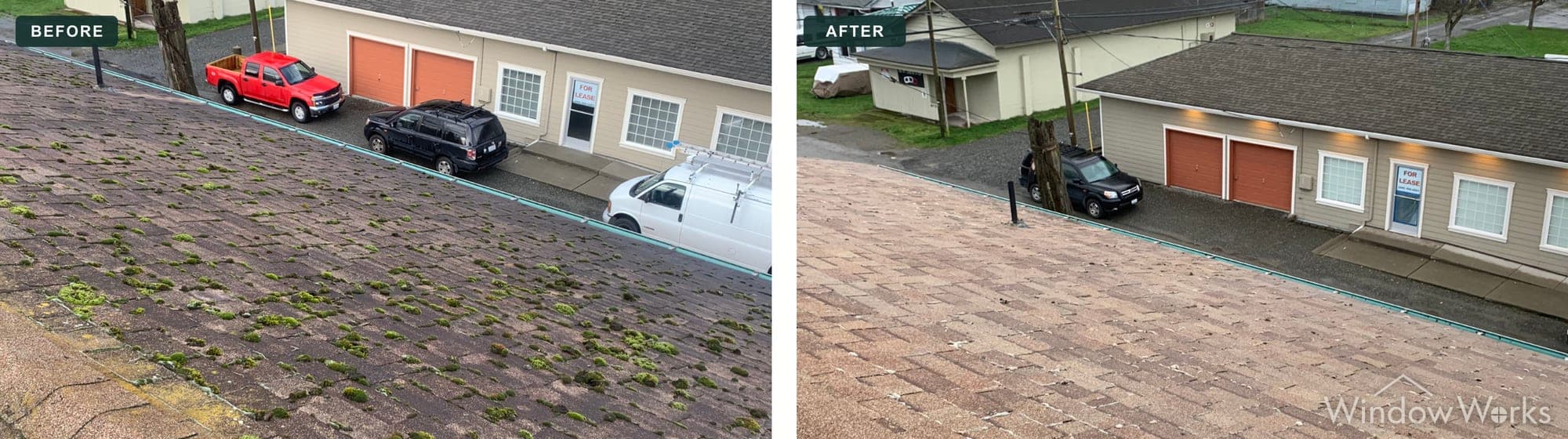 A moss-covered asphalt shingle roof cleaned with low-pressure soft washing, Eastside Seattle.