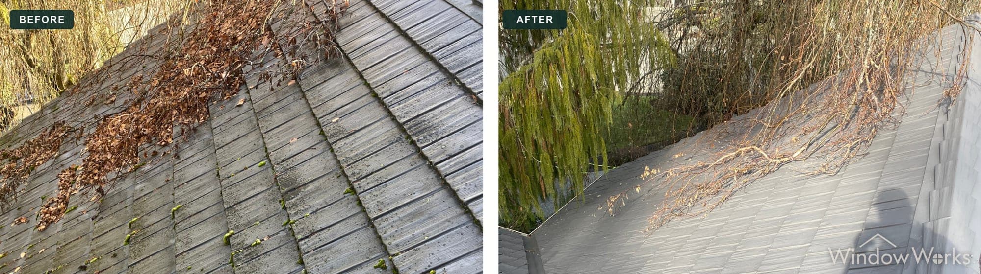 Leaf debris and moss cleared from a shingle roof by soft washing, Eastside Seattle.