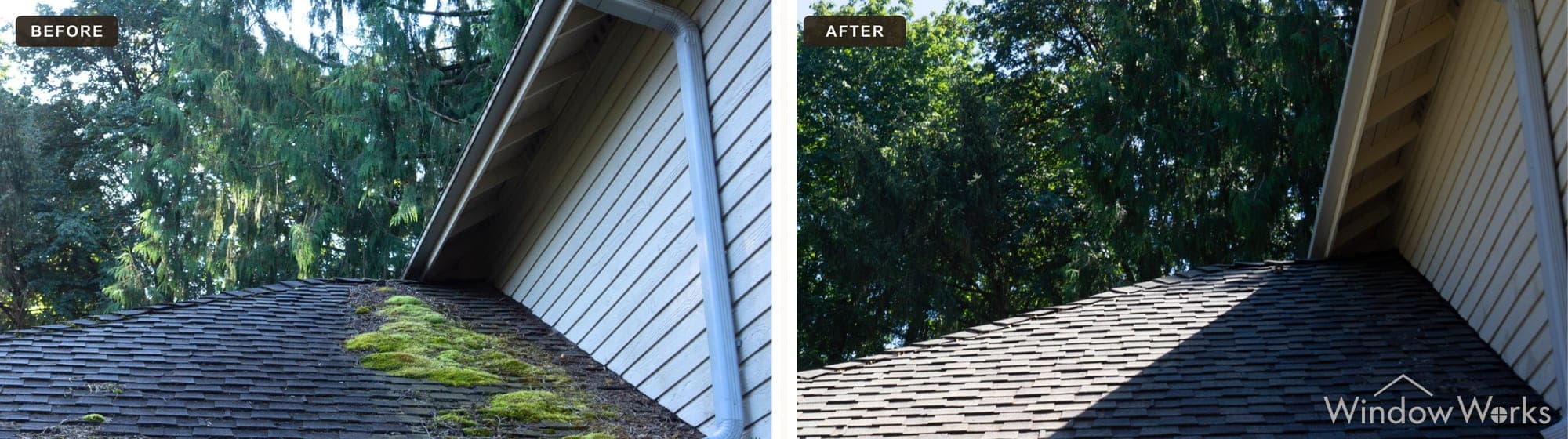 A green moss-covered asphalt shingle roof on a brick-and-siding home restored with soft washing, Eastside Seattle.